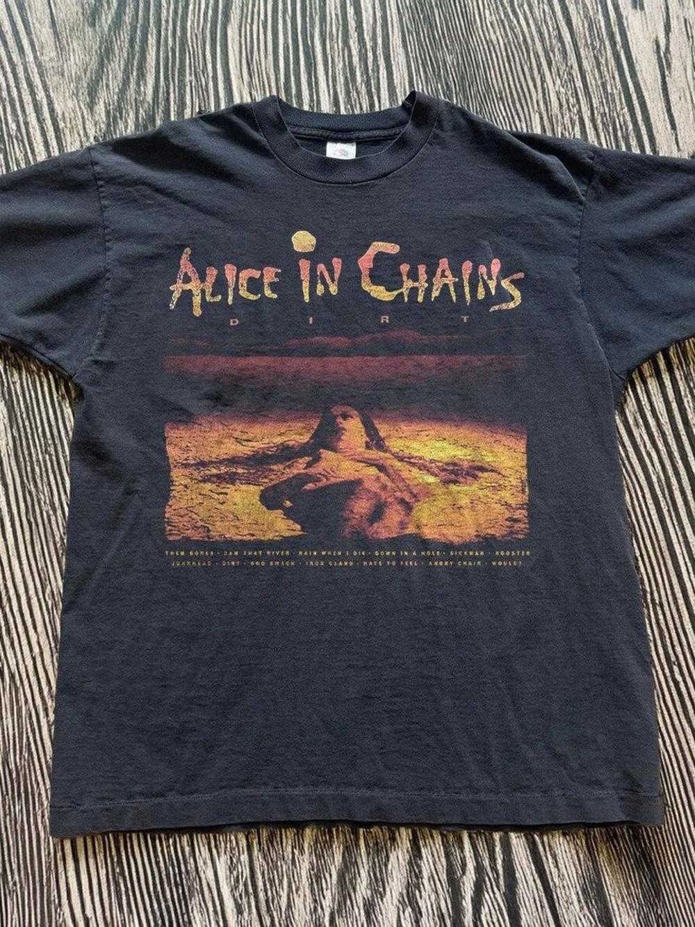Alice In Chains Band graphic Gildan Tee Tour Fan